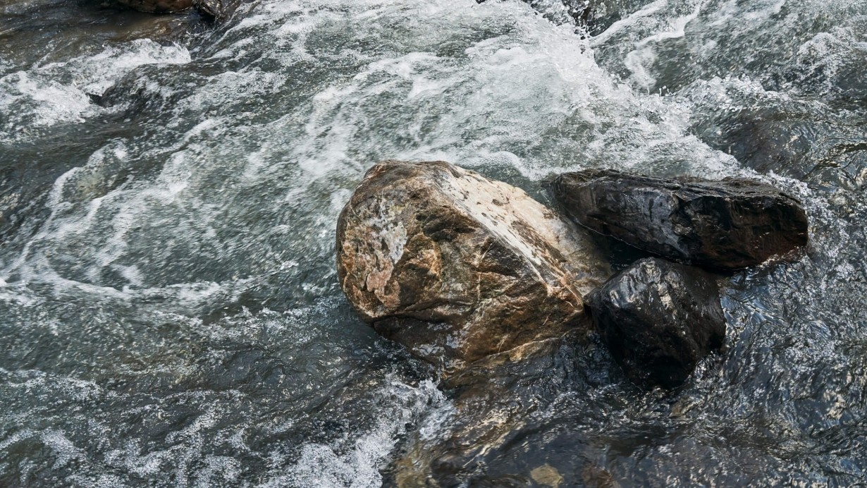 Wasser