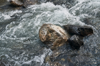 Wasser