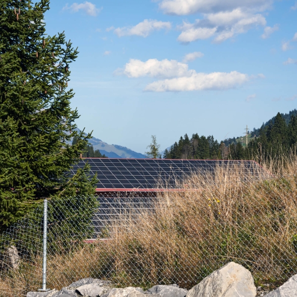 Produzieren und nutzen Sie Ihren eigenen Solarstrom