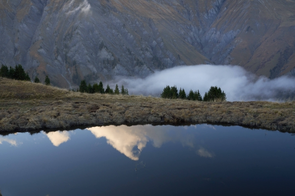 Ein nie versiegender Quell der Frische