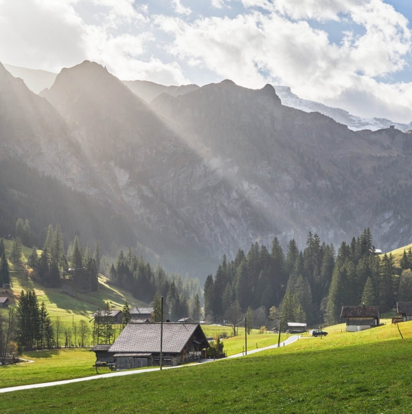 Volle Sonnenkraft voraus!